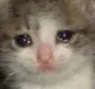 catcry3