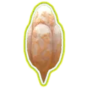 AncestralIncubator