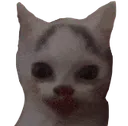 me_lon me_lon