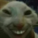catheh