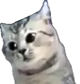 ch_dude Discord emoji