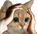 ch_omg Discord emoji