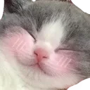 ch_hehe Discord emoji