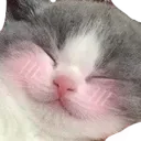 ch_hehe