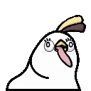 partyPerrot