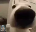 mesmell