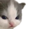 B_mischiefangry