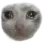 sadcate sadcate