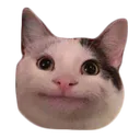 Politecat politecat Discord Emoji