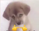 emoji_64