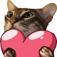 cat_love