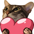 cat_love custom emote - Jewish Community