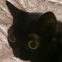 ptsd ptsd