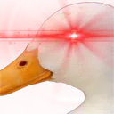 quack