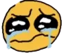 whybulli whybulli