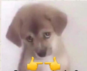 uwu Discord emoji
