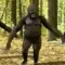 gorilladance