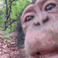 TSU_monke
