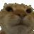 catNo