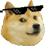 swagdoge