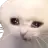 catCry