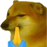 doge_pray doge_pray