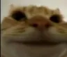 ye