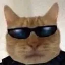 coolcat coolcat