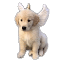 emoji_145