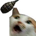 F1cat F1cat
