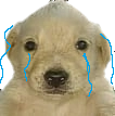MS_QueDepresivo Discord emoji