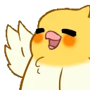 birdwave