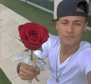 zzUmaflorParaOutraFlor_bdr
