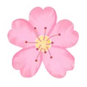 YMCherryBlossom_IA_DONTSTEAL