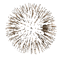 firework Discord emoji