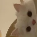 peekz