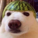 wotormelon Discord emoji