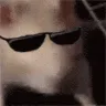 RatJam