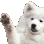 doggowave