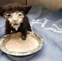 bruh