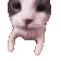 catKISSsus catKISSsus