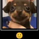 happyy