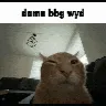 bbg