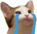 popcat_cry
