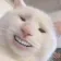 cat_tf