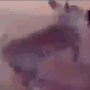 dog Discord emoji