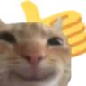 thumbsupcat