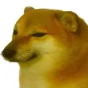 wt