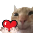 xuteeLOVE
