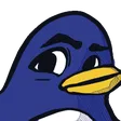 questr3Sus